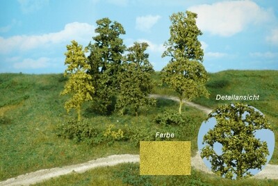 Blätterbäume u. Büsche