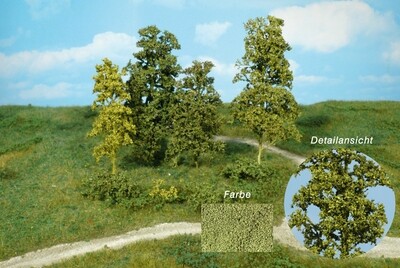Blätterbäume u. Büsche
