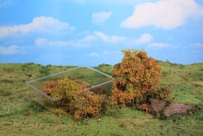 20 Blätterbüsche herbstlich