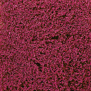 decovlies Blumendecor erika 