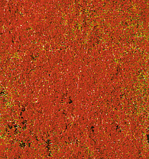 decovlies Blumendecor rot 