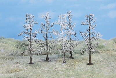 5 Winterbäume 