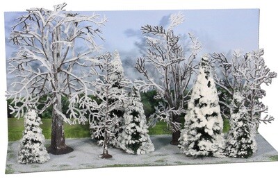 Winterwald, 10 Bäume und Tannen      7-14 cm