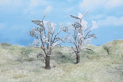 2 Winterbäume 