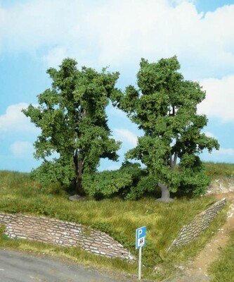 2 Ebereschen 