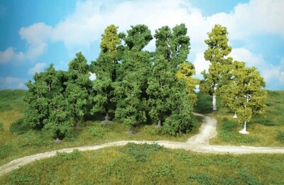 14 Laubbäume 