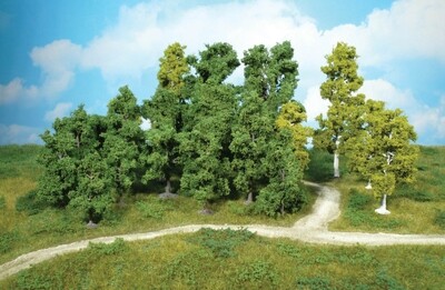 20 Laubbäume 
