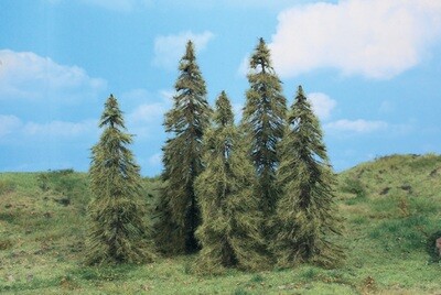 5 Lärchen 