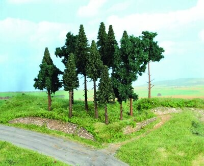 Nadelwald, 14 Nadelbäume