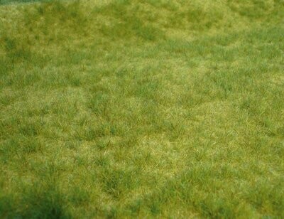 realistic Wildgras Frühlingsgras