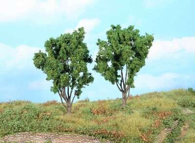 2 Mimosen 