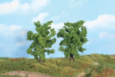 2 Birnbäume