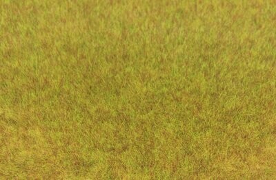 Wildgras Herbst