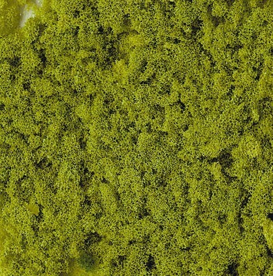Belaubungsflocken hellgrün