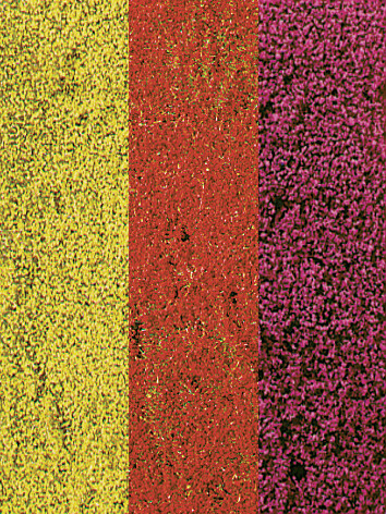 decovlies Blumendecor bunt 