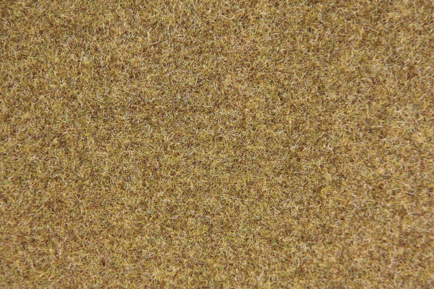 Waldgrund Grasfaser 2 - 3 mm, 50g