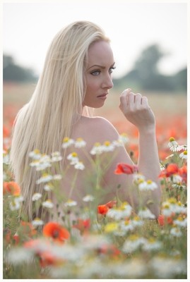 October DiVine Poppyfield