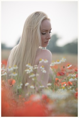 October DiVine Poppyfield
