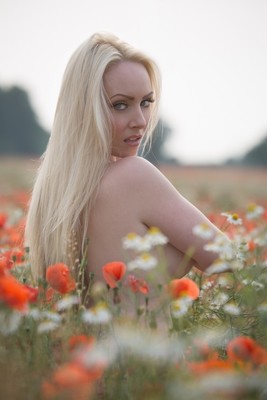 October DiVine Poppyfield