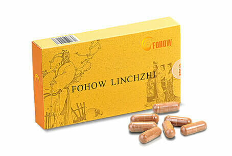 LINCHZHI - Ganoderma Lucidum Capsule (24 capsules, 0.5 g each)