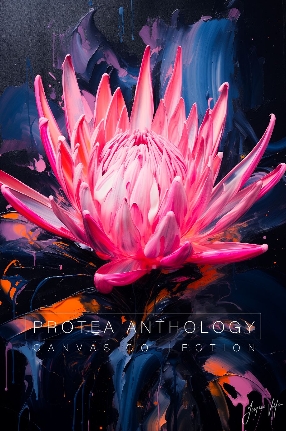Protea Anthology: Midnight Rose Original Art Canvas Print | Protea Anthology Collection