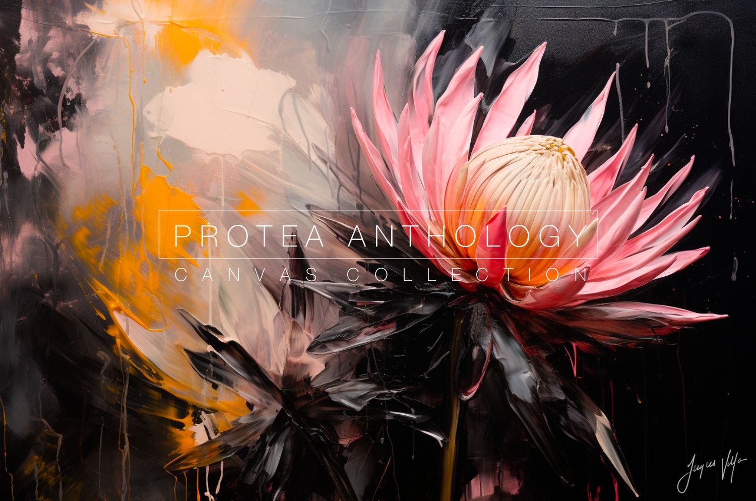 Protea Anthology: Pale Fire Original Art Canvas Print | Protea Anthology Collection
