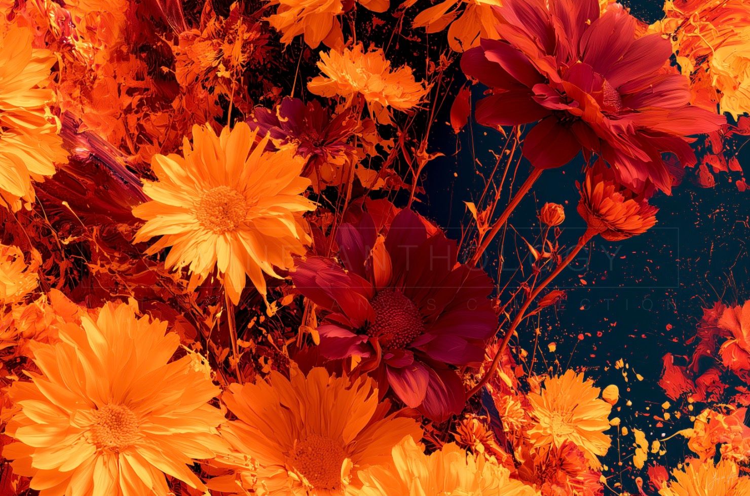 Daisies at the Point of Ignition, Vermilion and Maroon, Original Art Canvas Print