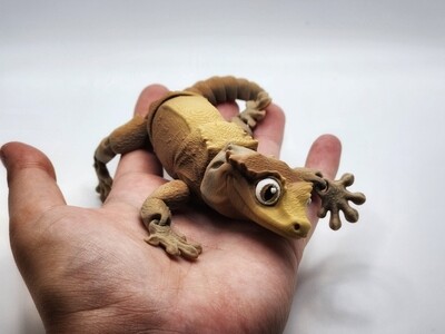  Articulated Crested Gecko