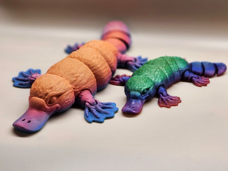 Articulated platypus