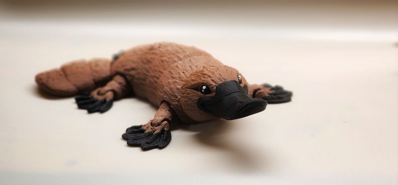 Realistic Articulated Platypus