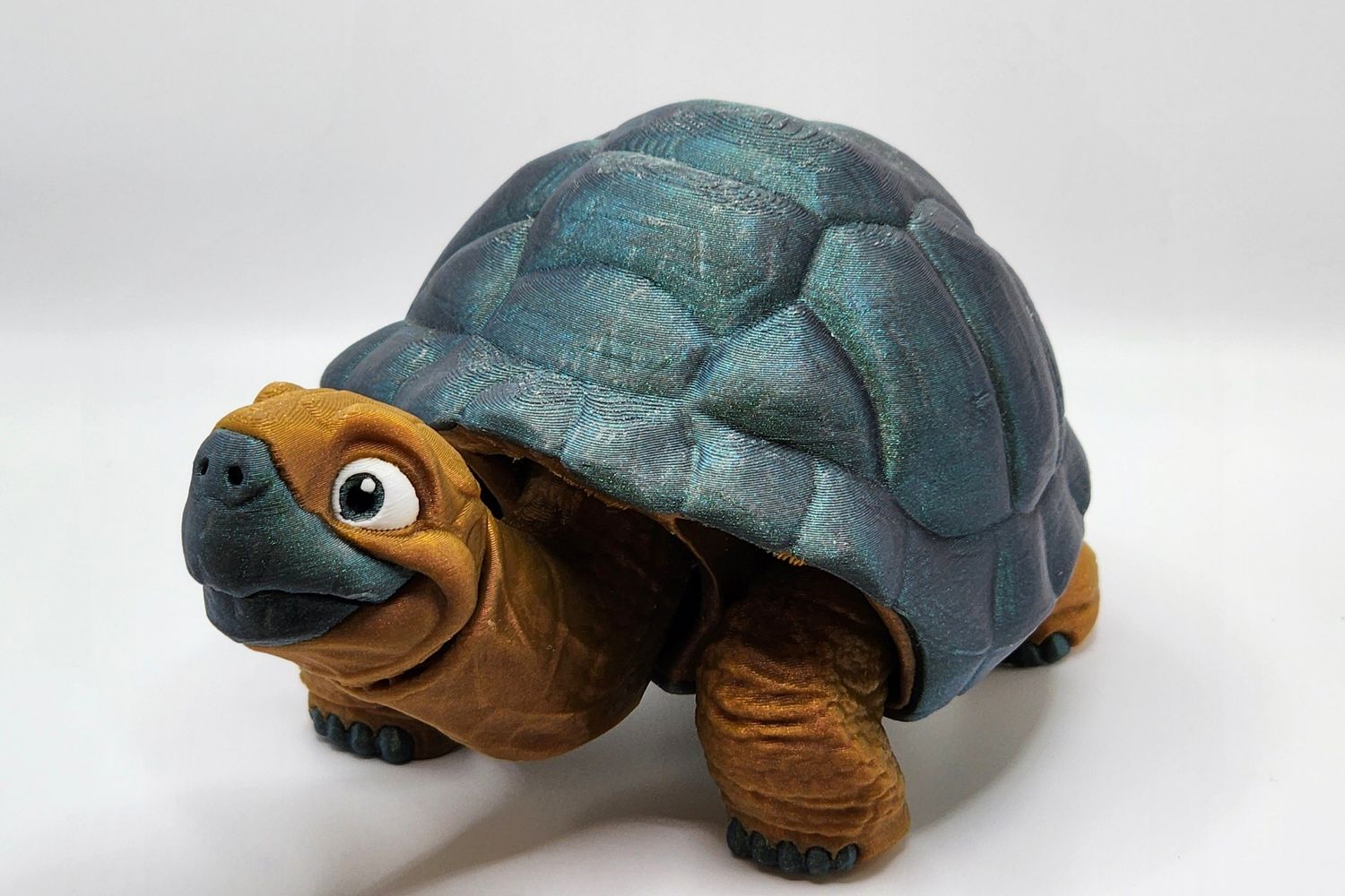 Articulated Tortoise
