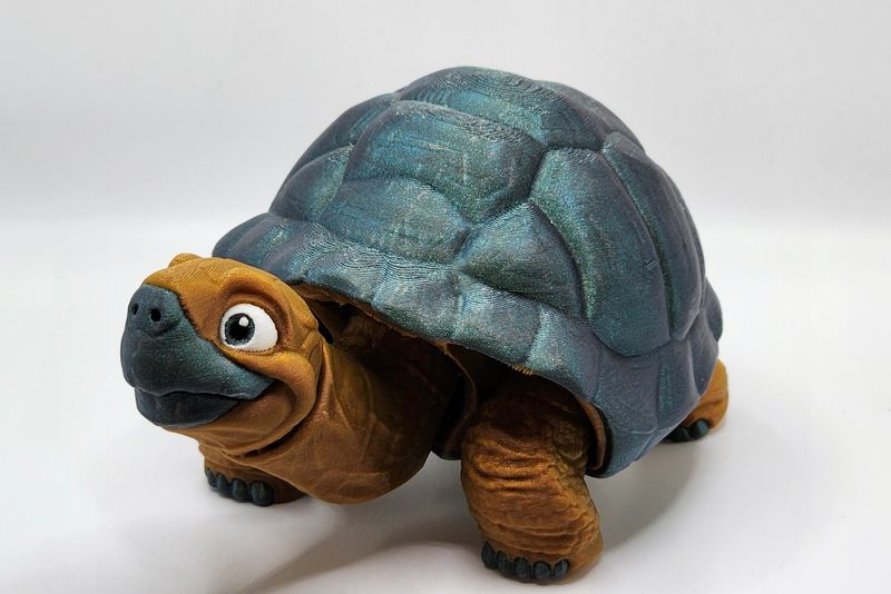 Articulated Tortoise