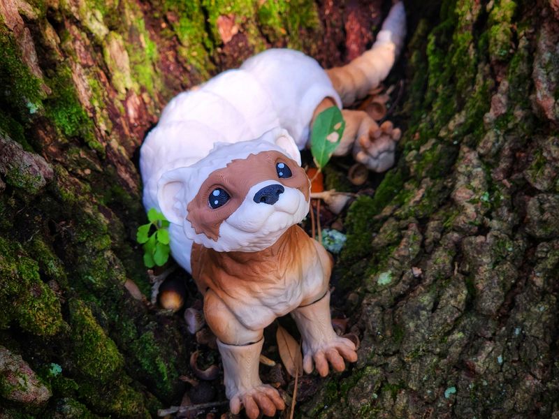 Realistic Articulated Ferret