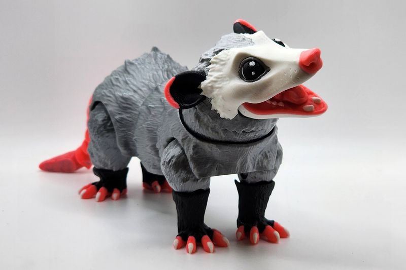 Realistic Articulated Opossum