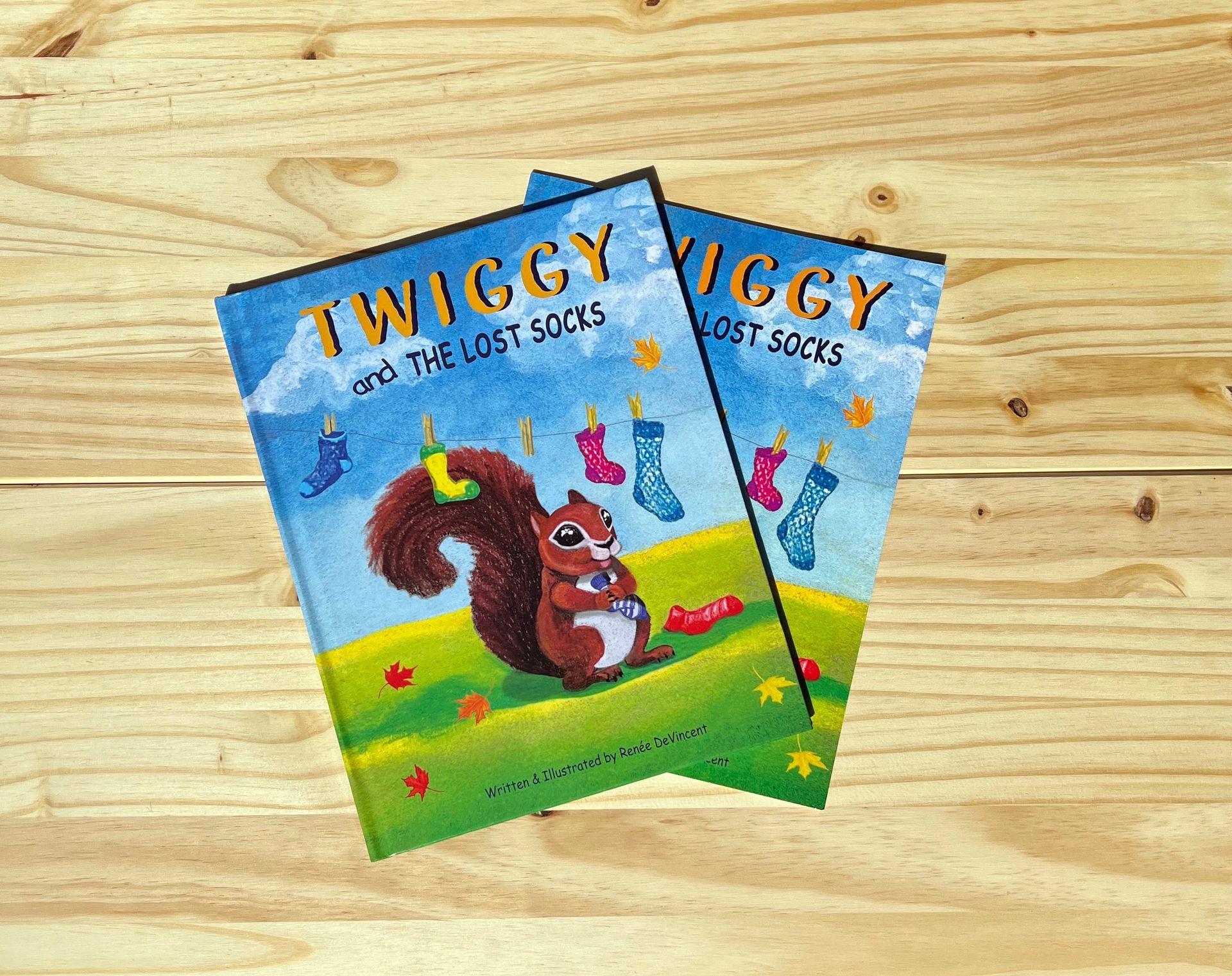 Hardback Book Twiggy and the Lost Socks