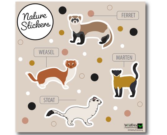 Weasel and Friends-Backyard Wildlife Stickers
