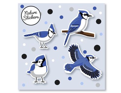 Backyard Animal Stickers-Blue Jay