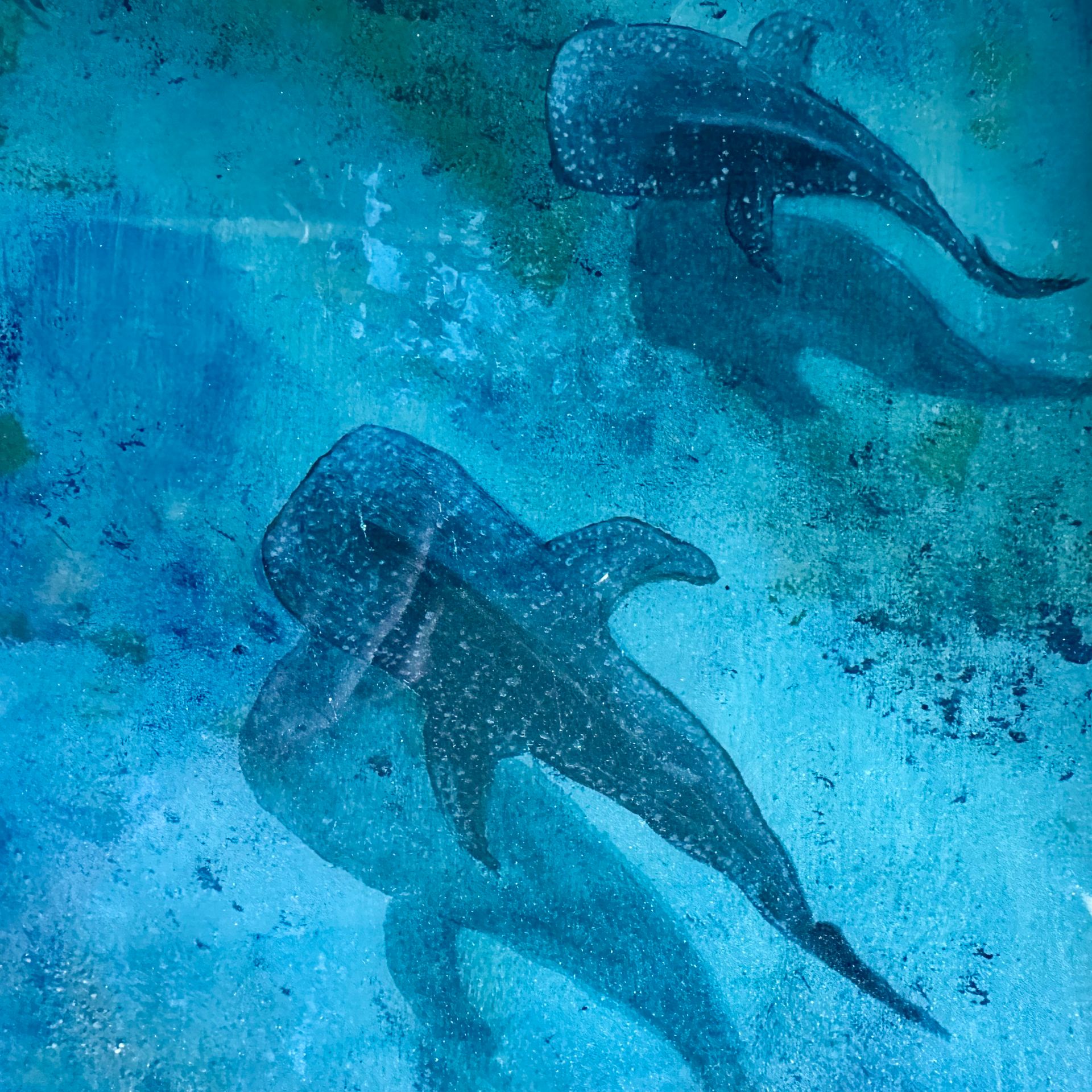 Silent Giants