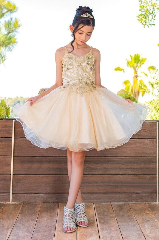 Cinderella Couture 5112