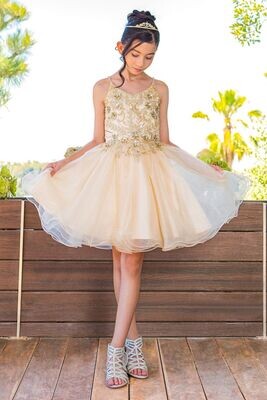 Cinderella Couture 5112 Cinderella Couture 5112