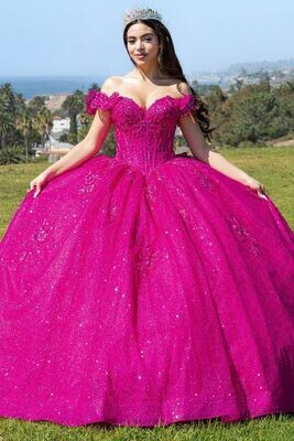 Cinderella Couture 8120J