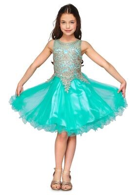 Cinderella Couture 5017