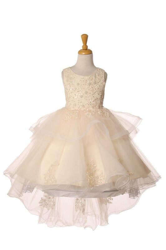 Cinderella Couture 9120
