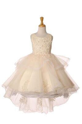 Cinderella Couture 9120