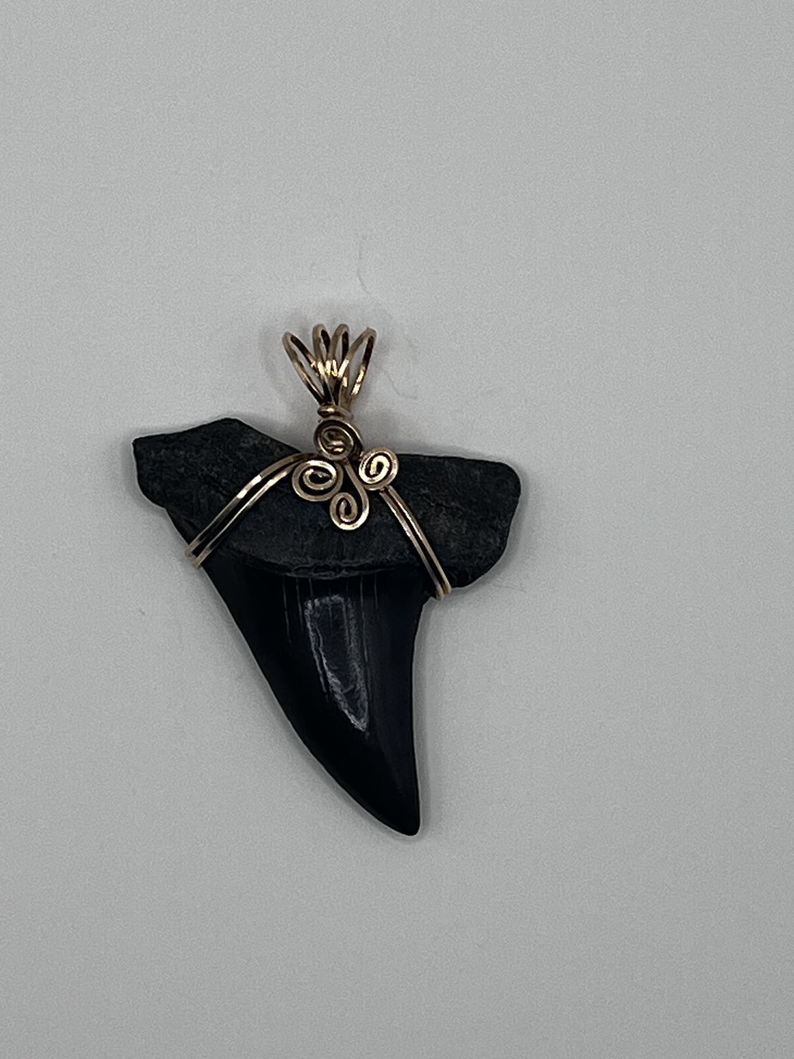 1.5&quot; Mako Tooth Pendant Clover Wrapped w/ 14K Gold - Barb&#39;s Design