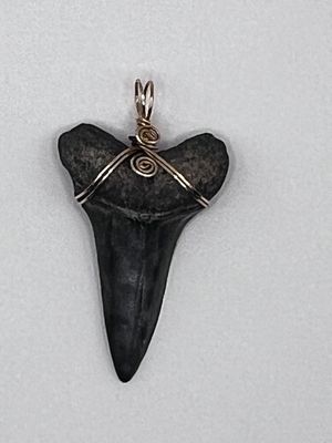 2.25&quot; Mako Tooth Pendant Hand Double Spiral Wrapped in 14k Gold - Barb&#39;s Design