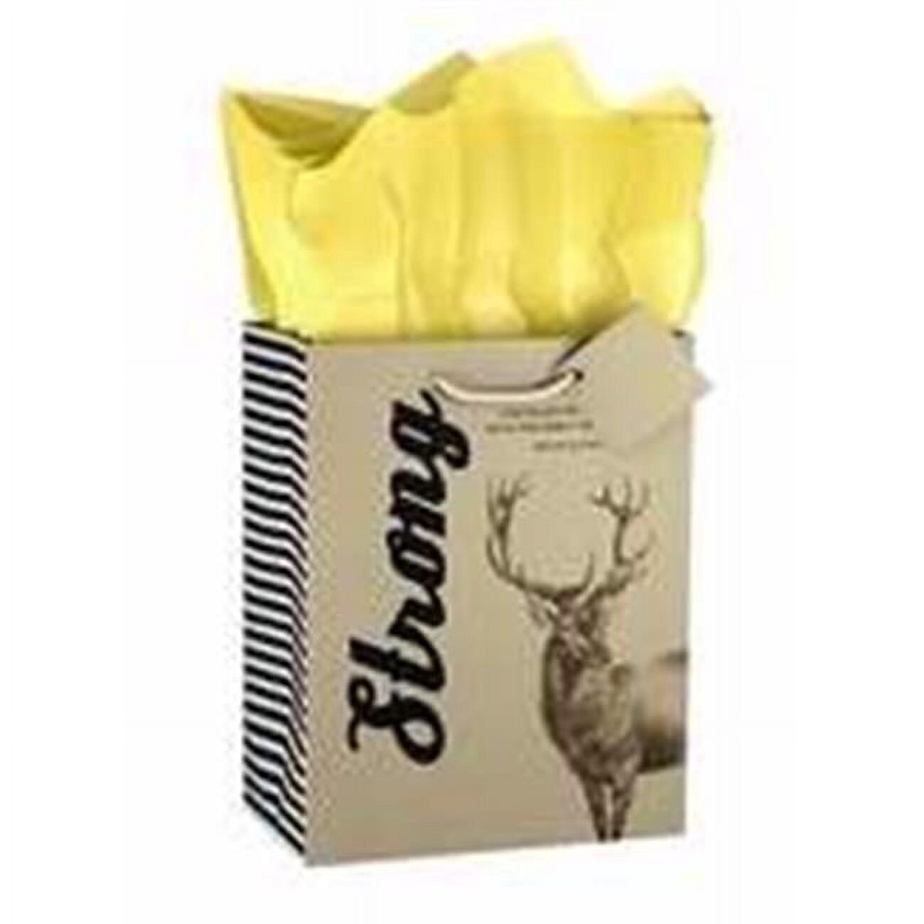 Strong gift bag