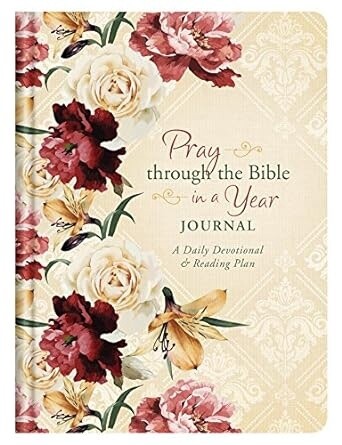 Pray Through the Bible In One Year journal