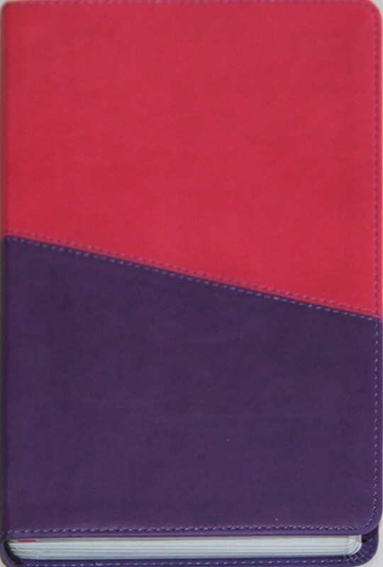 Kids KJV Study Bible