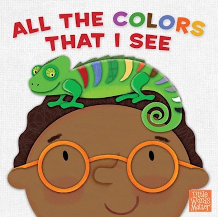 All the Colors That I See Board Book